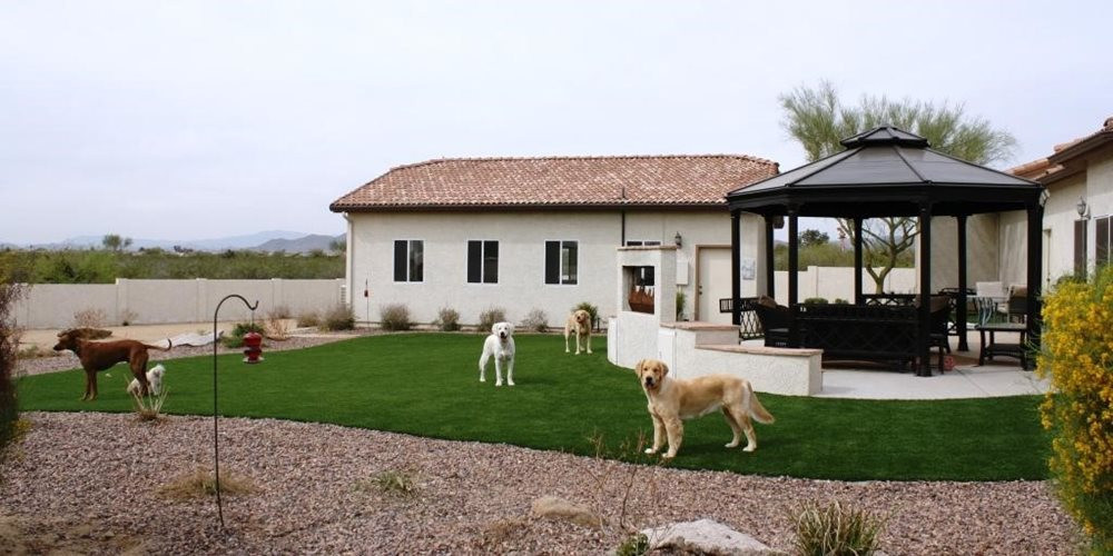 Edmonton artificial turf for dogs